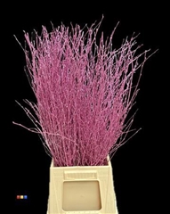 Betula / Berkentak Metallic Cerise