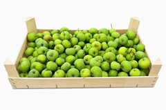 Malus Other Per Bak 5000gram