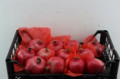 Sier Punica Granatum 50gram