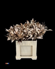 Ruscus Antique Gold