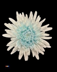 Chr G Marshmallow Light Blue