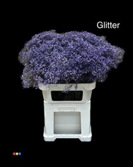 Gyps Million Star Purple + Glit Bio