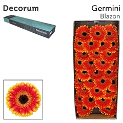 Ge Mi Blazon 45cm 7cm Ø