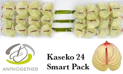 Anth A Kaseko 11cm Ø