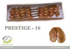 Anth A Prestige 11cm Ø
