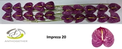 Anth A Impreza 9cm Ø