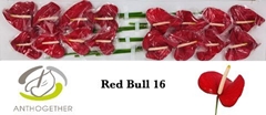 Anth A Red Bull 11cm Ø
