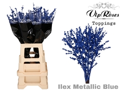 Ilex Metallic Blue 70 Cm