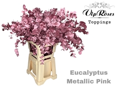 Euca Cinerea Metallic Pink 300GR