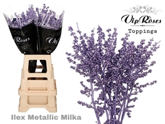 Ilex Metallic Milka 80 Cm