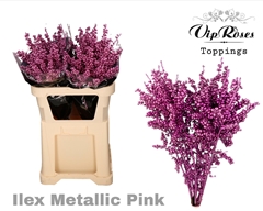 Ilex Metallic Pink 60cm