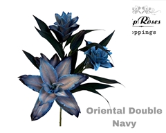 Li Or Du Double Navy