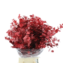 Droogbl Bewerkt H% 70cm 150gram