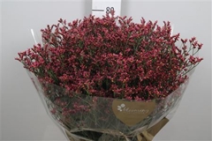 Lim Sin Scar Diamond 80cm 35gram