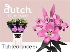 Li Ot Tabledance 90cm 55+