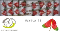 Anth A Narita 11cm Ø