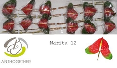 Anth A Narita 13cm Ø