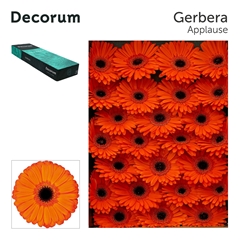 Ge Gr Applause 45cm 10cm Ø