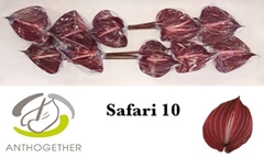 Anth A Safari 15cm Ø