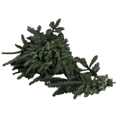Abies Nob Blauw Bunch 500gram