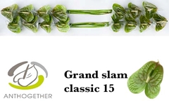 Anth A Grand Slam 7cm Ø