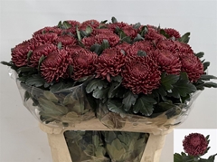 Chr G Bigoudi Red 80cm 125gram
