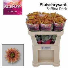 Chr G Saffina Dark 70cm 65gram