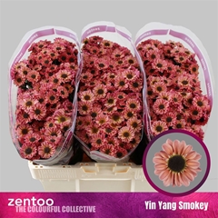 Chr S Yi Yan Smokey 55cm 130g