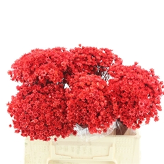 Droogbl Bewerkt H% 50cm 50gram