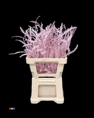 Decorgr Klb Pb 21% 60cm