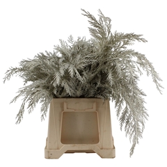Dec Gr Kleurbe 21% 50cm