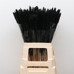 Droogbl Bewerkt H% 65cm