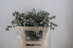 Diversen 55cm 300gram