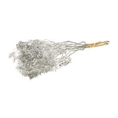 Droogbl Bewerkt H% 55cm