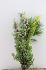 Gem Boeket Ov P 55cm