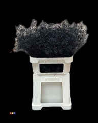 Limonium Black