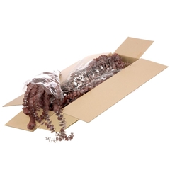 Euca Globu Klb 21% 55cm
