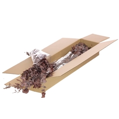 Euca Globu Klb 21% 60cm