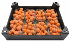 Gewaxde Appel 21%