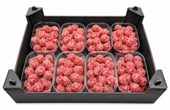Gewaxde Appel 21%