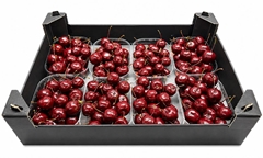 Gewaxde Appel 21%