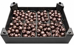 Gewaxde Appel 21%