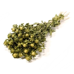 Dried Flowers 100 Gram 50cm 120gram