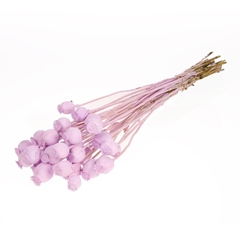 Droogbl Bewerkt H% 55cm 150gram