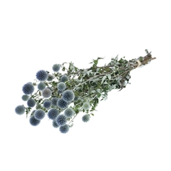 Dried Flowers 100 Gram 50cm 165gram