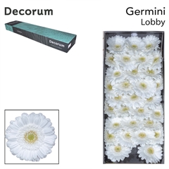 Germini Lobby 45cm 7cm Ø