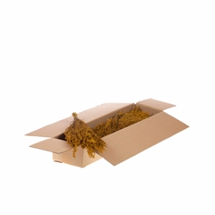 Droogbl Bewerkt H% 45cm