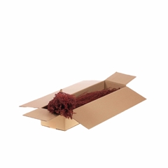 Droogbl Bewerkt H% 45cm