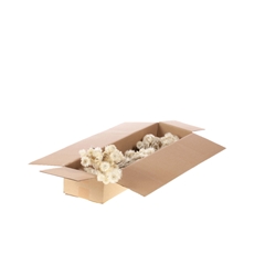 Dried Flowers 100 Gram 25cm 35gram