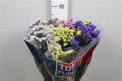 Lim S Mixed 75cm 45gram